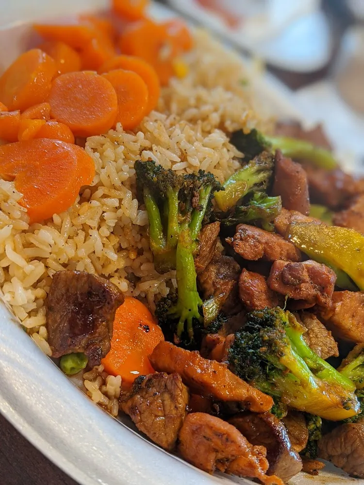 Steak and Chicken Teriyaki